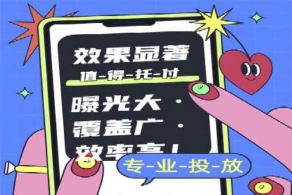 网络营销新篇章：竞价推广案例分析